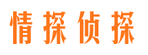 湖滨市侦探公司